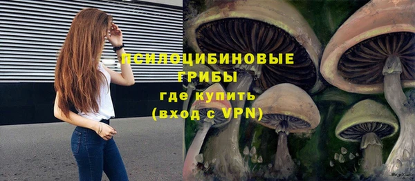 эйфоретик Ладушкин