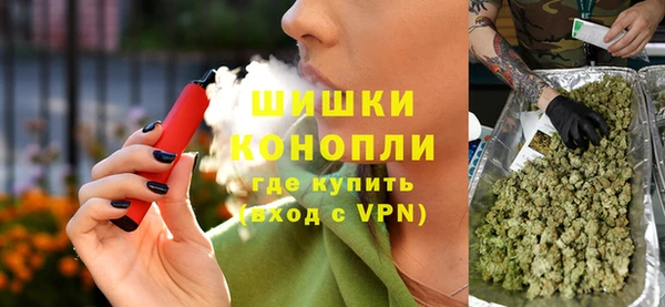 прущие грибы Куйбышев