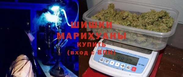 spice Гвардейск