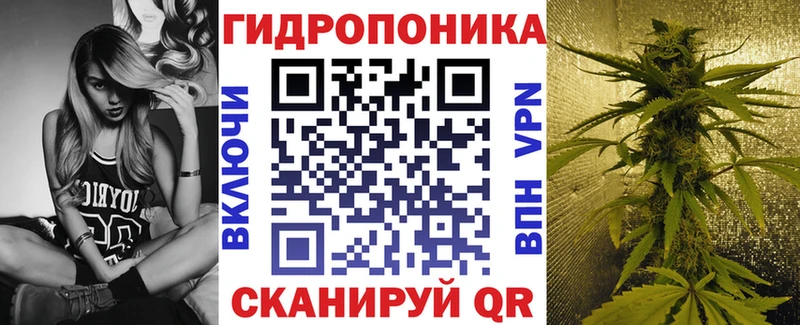 Каннабис семена  Куровское 